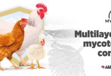 Mycotoxin contamination in South Africa: implications for poultry immune system response