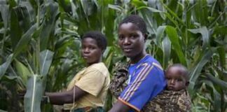 Rethinking Aid in Rural Tanzania: How Monthly Micro-Savings Transform Lives