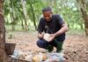 Olam Agri Grows Rubber Business with Asia Africa Rubber Industry Acquisition