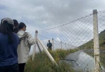 Where Water Meets Wellbeing: A Facilitator’s Reflection