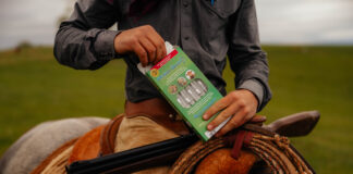 Pneu-Dart: Safer, Smarter Animal Care Through Remote Delivery Solutions