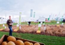 PotatoEurope and SugarBeet Expo 2026 Set to Open as Europe’s Premier Root Crop Event