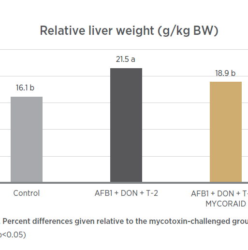 Relative liver weight
