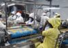 GuarantCo Supports Robust’s Cashew Processing Expansion to Deliver Local Economic Impact in Côte d’Ivoire