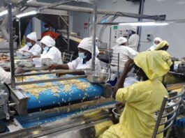 GuarantCo Supports Robust’s Cashew Processing Expansion to Deliver Local Economic Impact in Côte d’Ivoire