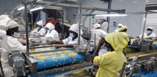 GuarantCo Supports Robust’s Cashew Processing Expansion to Deliver Local Economic Impact in Côte d’Ivoire