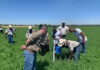 SADC Leaders Meet in 2026 to Accelerate Resilient, Sustainable Food Systems
