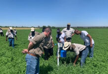SADC Leaders Meet in 2026 to Accelerate Resilient, Sustainable Food Systems