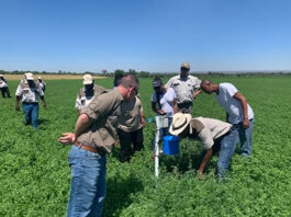 SADC Leaders Meet in 2026 to Accelerate Resilient, Sustainable Food Systems
