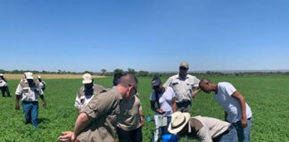 SADC Leaders Meet in 2026 to Accelerate Resilient, Sustainable Food Systems
