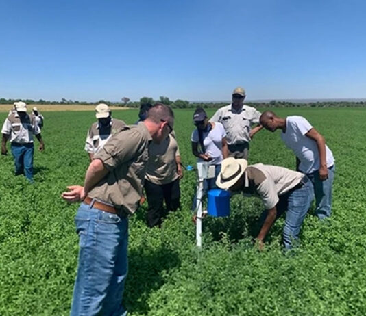 SADC Leaders Meet in 2026 to Accelerate Resilient, Sustainable Food Systems