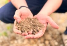 Global Soil Data Gets a Lift as Varda Foundation Open Sources SoilHive Platform