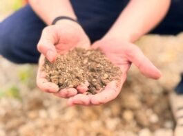 Global Soil Data Gets a Lift as Varda Foundation Open Sources SoilHive Platform