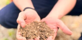 Global Soil Data Gets a Lift as Varda Foundation Open Sources SoilHive Platform