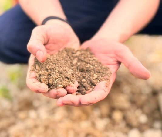 Global Soil Data Gets a Lift as Varda Foundation Open Sources SoilHive Platform