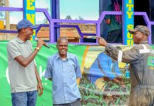 Five Years of Progress and Success Against Illicit Pesticides in Kenya
