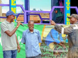 Five Years of Progress and Success Against Illicit Pesticides in Kenya