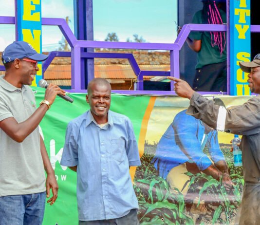 Five Years of Progress and Success Against Illicit Pesticides in Kenya