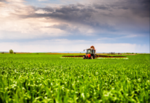 Beyond disease control: getting more bang for your buck
