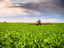 Your maize can yield more — when protection goes beyond disease control