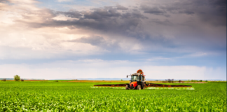 Your maize can yield more — when protection goes beyond disease control