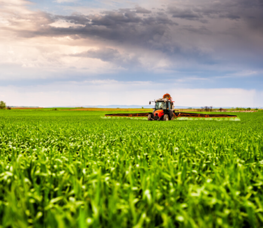 Beyond disease control: getting more bang for your buck