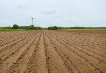 SugarBeet Expo 2026: Future-Proofing Sugar Beet with Soil Health