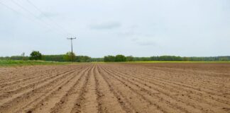 SugarBeet Expo 2026: Future-Proofing Sugar Beet with Soil Health