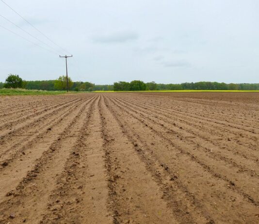 SugarBeet Expo 2026: Future-Proofing Sugar Beet with Soil Health