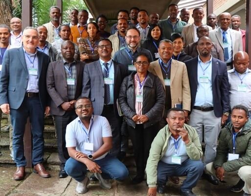 WHEAT_EXPERTS_MEET_IN_ETHIOPIA._PHOTO_BY_CIMMYT_600x400