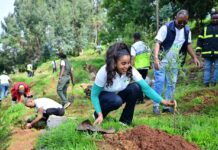 The Sustainable Switch: Ethiopian Operator Links Reforestation, Clean Energy and Digital Growth