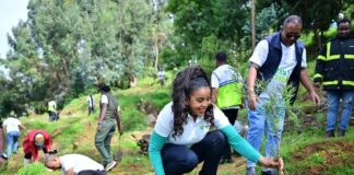 The Sustainable Switch: Ethiopian Operator Links Reforestation, Clean Energy and Digital Growth