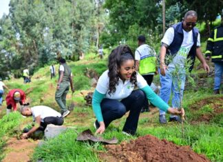 The Sustainable Switch: Ethiopian Operator Links Reforestation, Clean Energy and Digital Growth