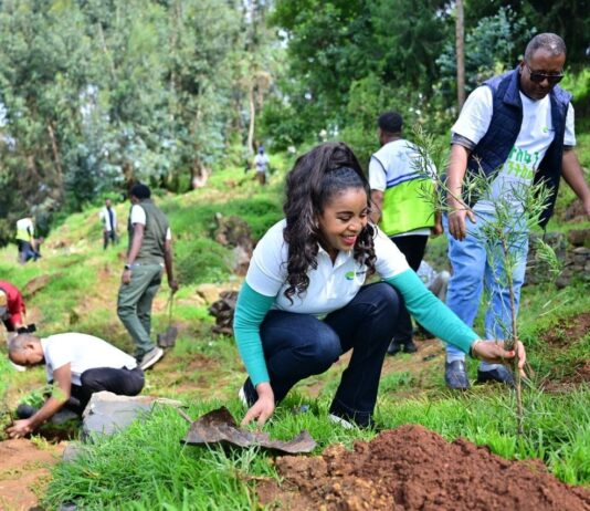 The Sustainable Switch: Ethiopian Operator Links Reforestation, Clean Energy and Digital Growth