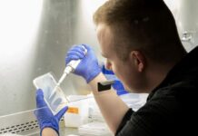 Researchers find new ways to help plants absorb more nitrogen and reduce fertiliser use