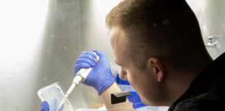 Researchers find new ways to help plants absorb more nitrogen and reduce fertiliser use