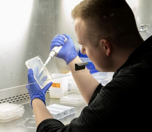 Researchers find new ways to help plants absorb more nitrogen and reduce fertiliser use