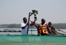 Chinese fish farming technology transforms livelihoods on Lake Victoria