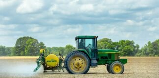 Corteva Seed Quality: The Gateway to Competitive Markets