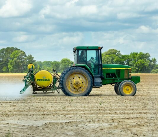 Corteva Seed Quality: The Gateway to Competitive Markets