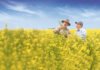 Bayer and Neste Partner to Scale Winter Canola Production for Biofuels