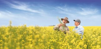 Bayer and Neste Partner to Scale Winter Canola Production for Biofuels