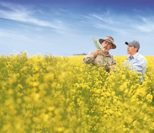 Bayer and Neste Partner to Scale Winter Canola Production for Biofuels