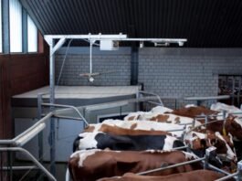 Connected, flexible, resilient: GEA shows future perspectives for dairy farming at EuroTier 2026