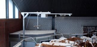 Connected, flexible, resilient: GEA shows future perspectives for dairy farming at EuroTier 2026