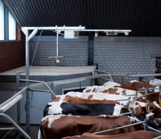 Connected, flexible, resilient: GEA shows future perspectives for dairy farming at EuroTier 2026