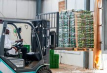 Rwanda avocado export links 1,000 farmers to UAE market