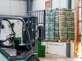 Rwanda avocado export links 1,000 farmers to UAE market