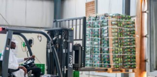 Rwanda avocado export links 1,000 farmers to UAE market