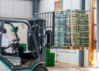 Rwanda avocado export links 1,000 farmers to UAE market